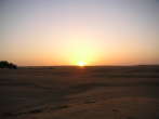 20070323T183104-p.jpg