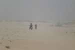 20080318T132602-p.jpg