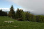 20120516T172436.jpg