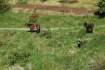 20120517T101730.jpg