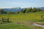 20120517T114518.jpg