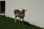 20120517T123211.jpg