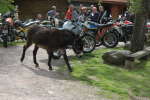 20120518T110121.jpg