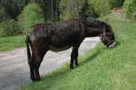 20120518T110144.jpg
