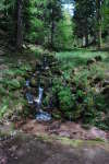 20120519T121046.jpg