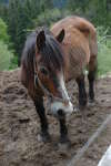 20120519T154819.jpg