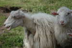 20120519T175123.jpg