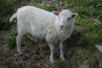 20120519T175157.jpg