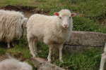 20120519T175325.jpg