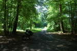 20120520T112433.jpg