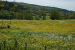 20120520T124138.jpg